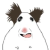 🐭🐀 Hamster 6 🐭🐀 18