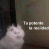 💕Animalitos con frases💕 10