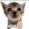 okie bang