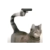 Fih 9