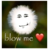 Fih 2