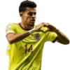 Copa América Colombia 🇨🇴 10