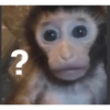 🎀🐵🐈‍⬛ 24