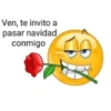 Bolita amarilla 16