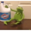 Kermit the frog 21
