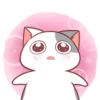 Kucing kaget #4 8
