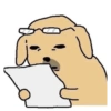 Dog 16
