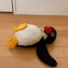 Pinguino random  13