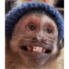 🎀🐵🐈‍⬛ 28