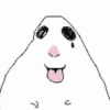 🐭🐀 Hamster 6 🐭🐀 19