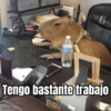 Tengo bastante trabajo OfficeMax