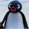 Pingüino Sorprendido