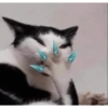 Novo ano novo stikitos 5