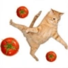 Bad cats 29