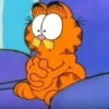 Garfield Cat 16