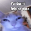 GATINHOS ZOEIROS 5