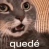 🫯🫪 WTF - OMG [Mood] 🫪🫯 3