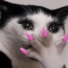🐈‍⬛🐱🧶 GATOS | CATS 5 🧶🐱🐈‍⬛ 9