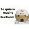 ⚽🤍Real Madrid Memes⚽🤍 8