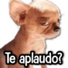 MIX de Memes #9 🏖️ 10