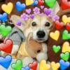 💞💖 AMOR 11 💖💞 23