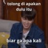 Dino 19