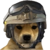 Perritos tácticos 🔥 5