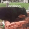 Pensa num bicho ansioso