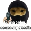 Perritos tácticos 🔥 13