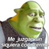 Shrek 1 19