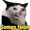 Aleatório 17