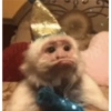 MOnKey reaCtioNs 🐵😝🧃 16