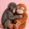 🐵 PUNCH EL MONITO 🧸 15
