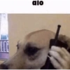 Aaa 10