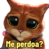 Aleatório 21