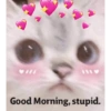 Good Morning, stupid. Al A