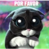 Bad cats 23