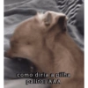 Figurinhas da GABI 13