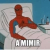 A MIMIR