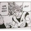 Goku memes 30
