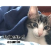 No conejo :0 11