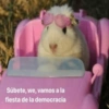 🗳️•🇲🇽Elecciones México 2024🇲🇽•🗳️ 14