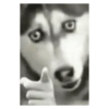 Perros graciosos cursed random 7