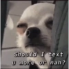 Should I text u more or nah?