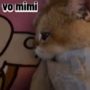 Melhores figurinhas  8