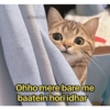 Ovvanila.ic Ohho mere bare me baatein hori idhar