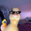 Reações + patinhos 🦆 8