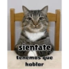 Serio 7