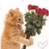 Реакции любви 🥰 9