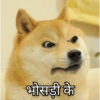 भोसड़ी के